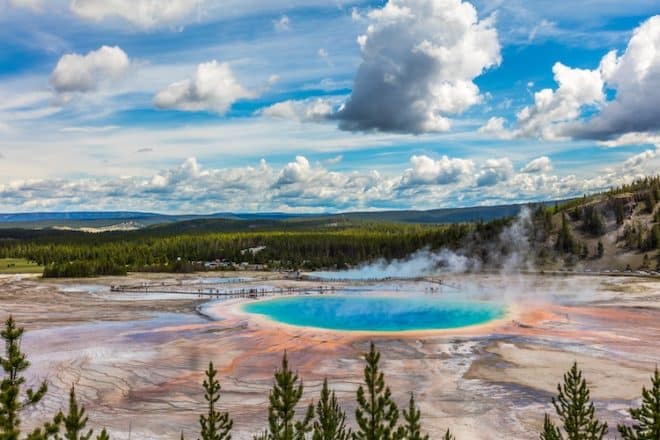 Naturschutzgebiete wie der Yellowstone-Nationalpark im Nordwesten der USA ist bekannt und beliebt für seine reichhaltige Flora und Fauna.