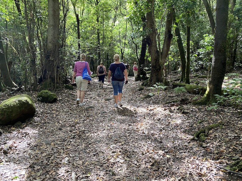 über 600 km Wanderwege gibt es im Nationalpark auf La Gomera 