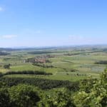 2021-06-28-Steigerwald