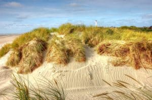 Blåvand ermöglicht einen fassettenreichen Urlaub.