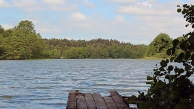 2022-03-23-Mecklenburger Seenplatte