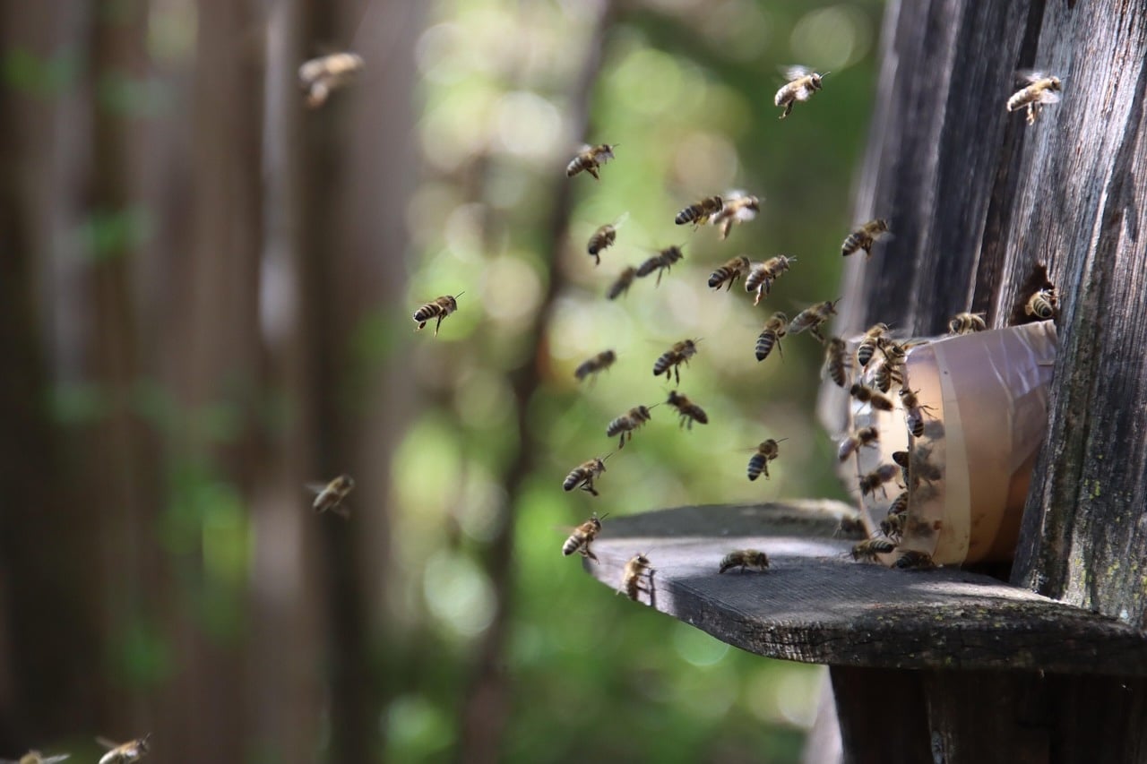 Insektenschutz auf Reisen.