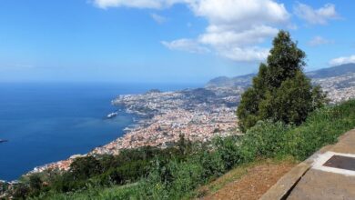 Die wunderschöne Insel Madeira ist ein Paradies für Naturliebhaber.