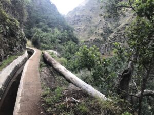 Der Lorbeerwald von Madeira und sein Bewässerungssystem.